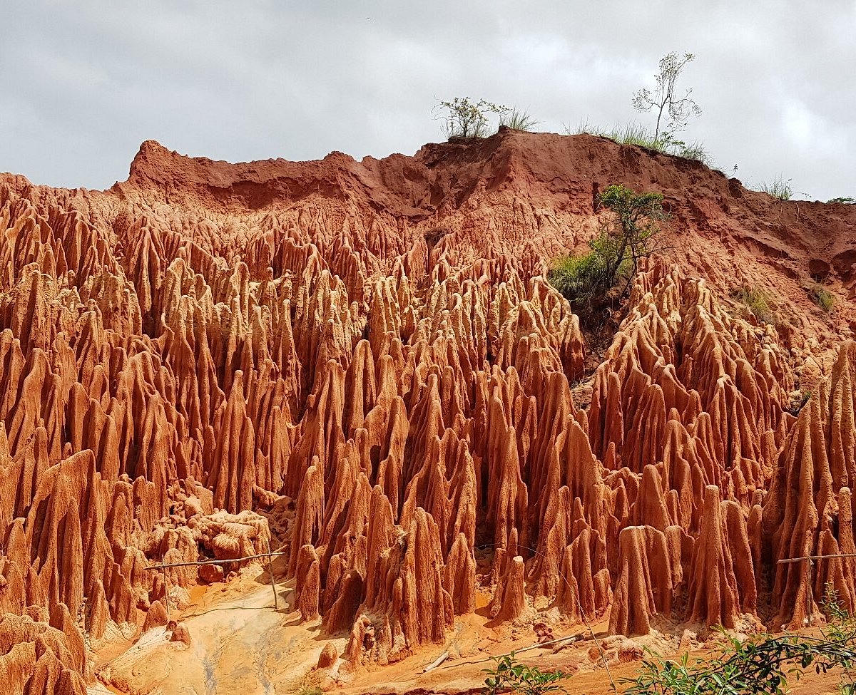 Formation géologique Tsingy