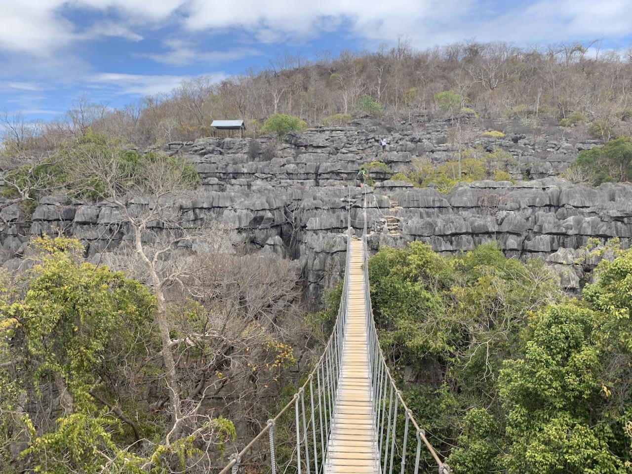 Pont suspendu excursion