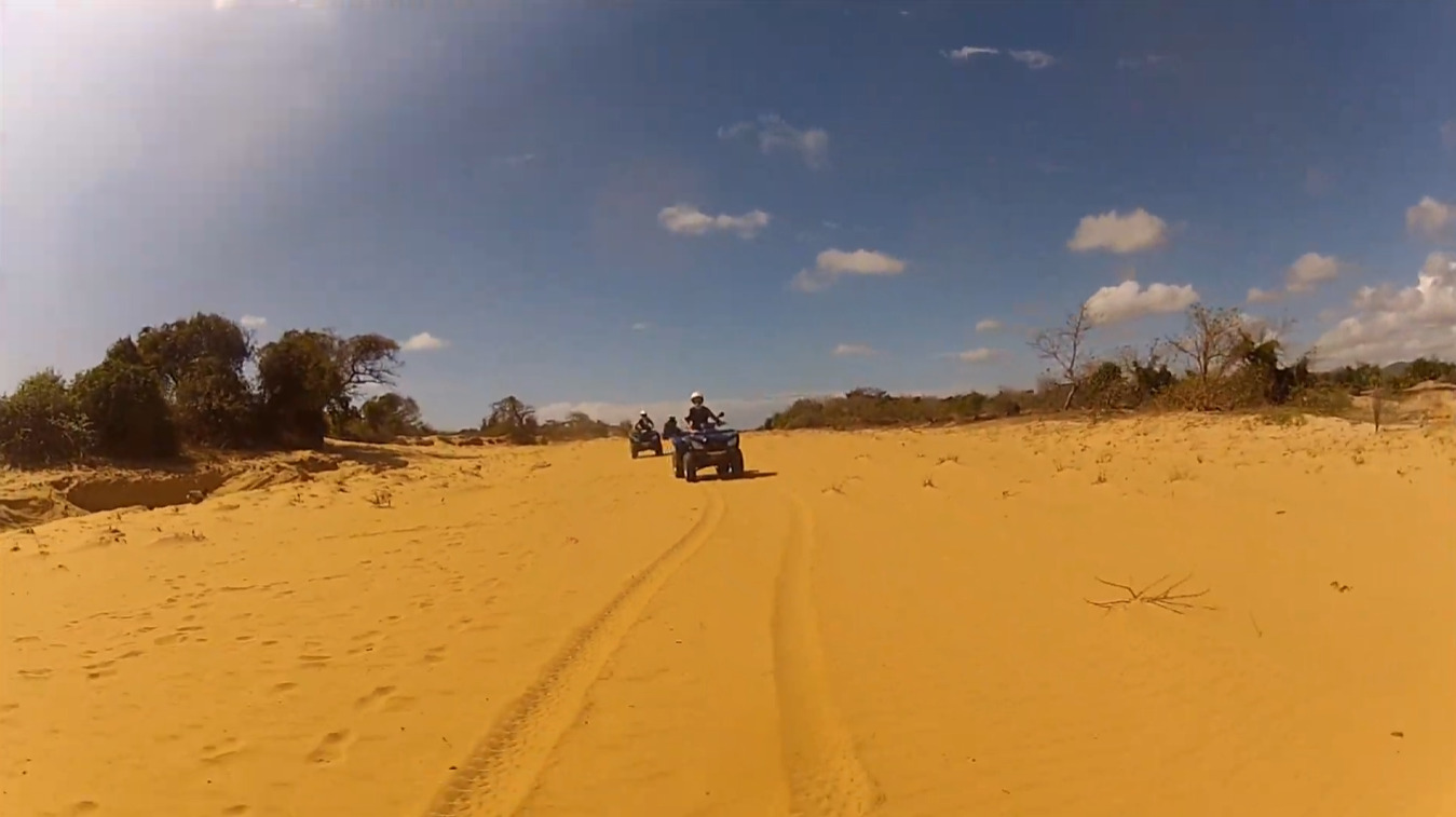 Dunes de sable